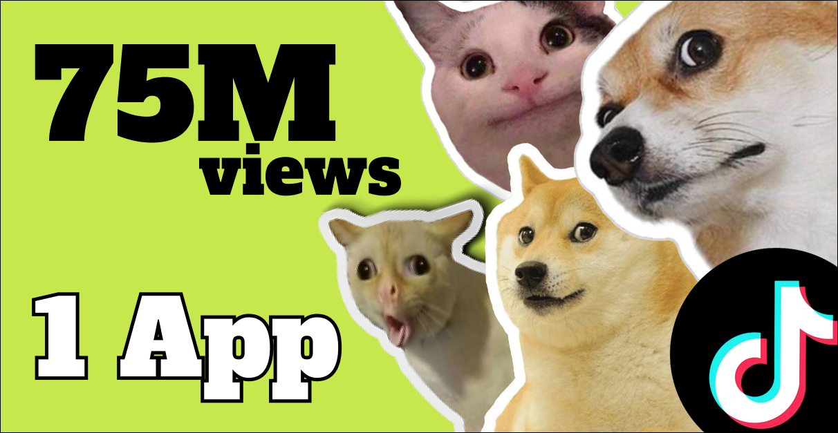 From TikTok Joke To Full Meme Betting App