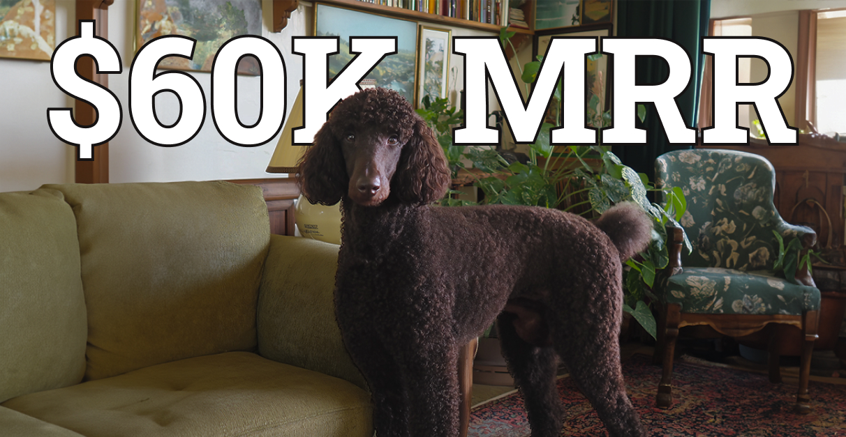 $60,000 MRR from Dog Reactions