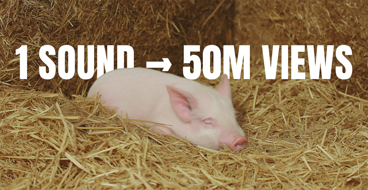 One Sound Format Took This App Past 50M Views