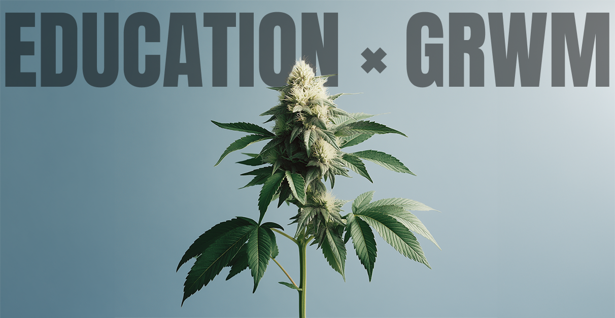 When a GRWM Outperforms Your Best “Quit Weed” Format